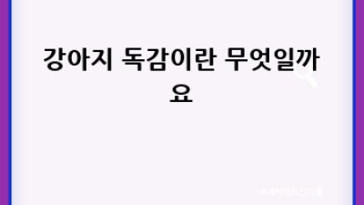 댕댕이 독감? 걱정 마세요! 예방과 관리 완벽 가이드🐶