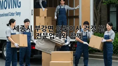 세종시 부강면 원룸이사, 걱정 끝! 전문업체와 함께!