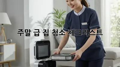 주말 급! 집 청소 체크리스트